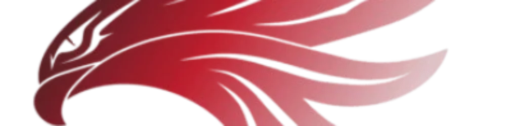 dexhub.site